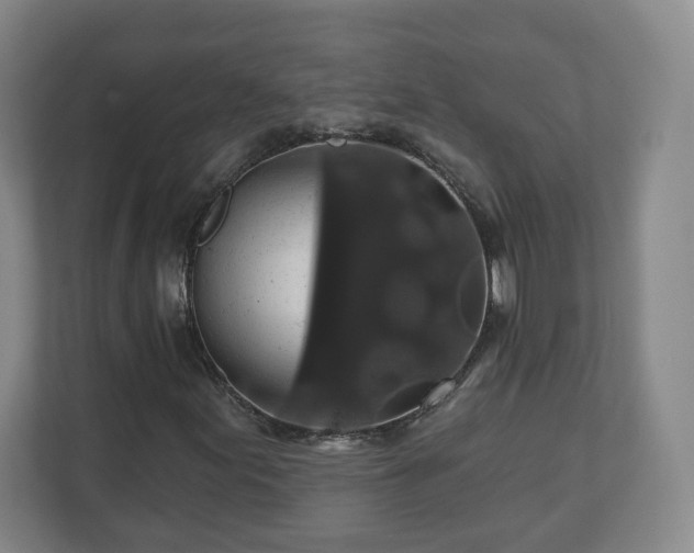 X0000110701155200906191522