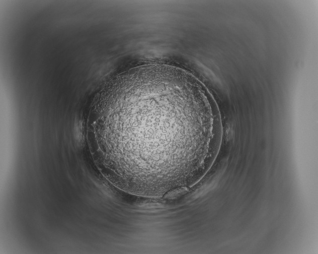 X0000110701156200906191522