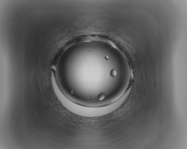 X0000110701157200906191522