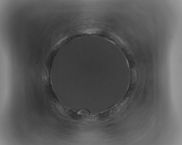 X0000110701158200906191522