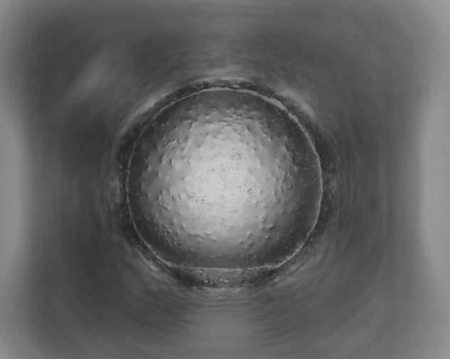 X0000110701159200906191521