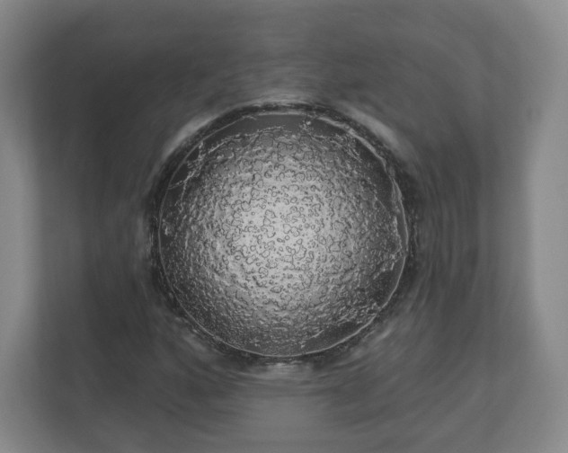 X0000110701160200906191521