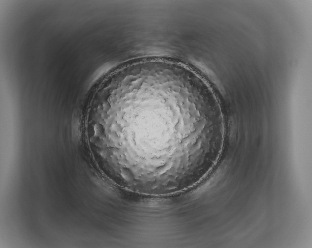X0000110701163200906191521