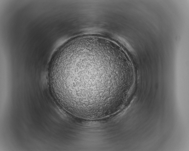 X0000110701164200906191521