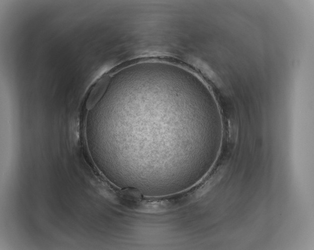 X0000110701165200906191521