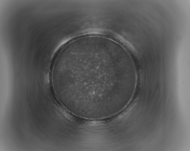 X0000110701166200906191521