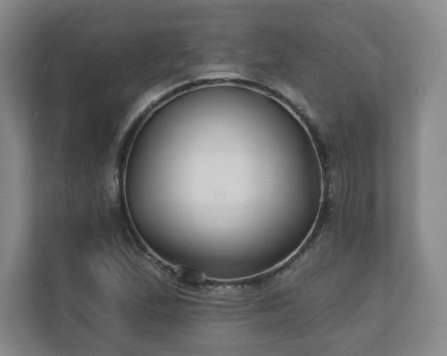 X0000110701167200906191521