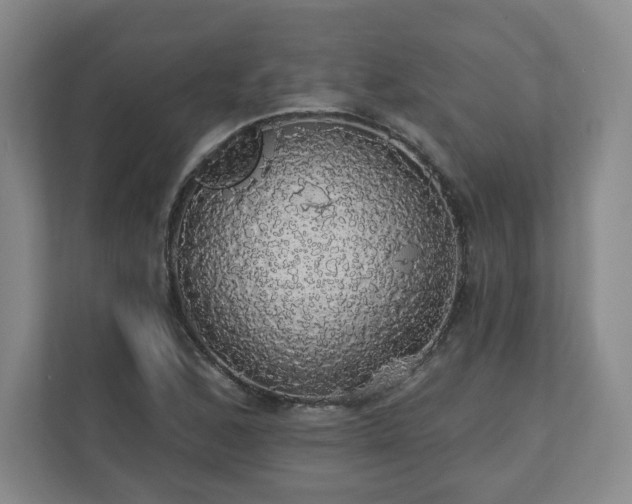 X0000110701168200906191521