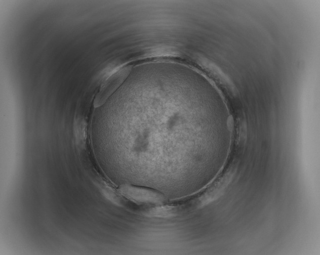 X0000110701169200906191521