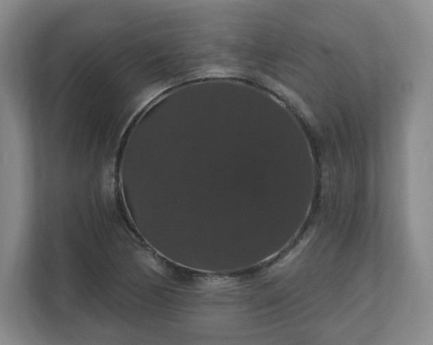 X0000110701170200906191521