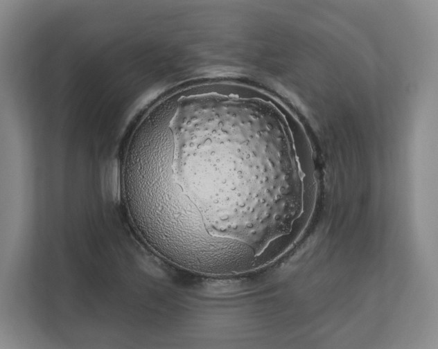 X0000110701171200906191521