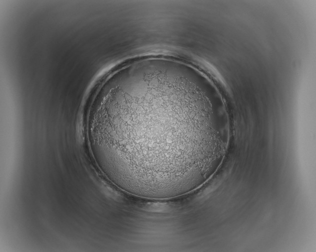 X0000110701172200906191521