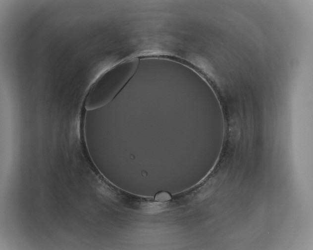 X0000110701173200906191521