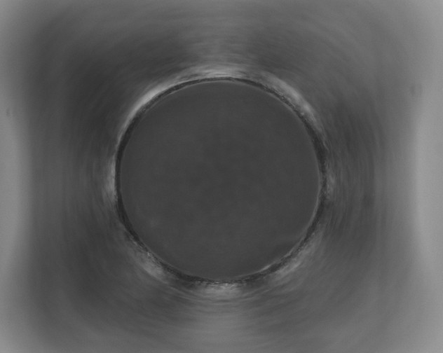 X0000110701174200906191521