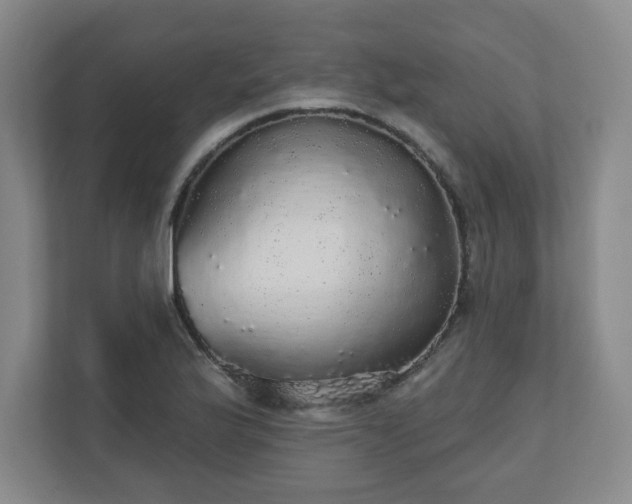 X0000110701175200906191521