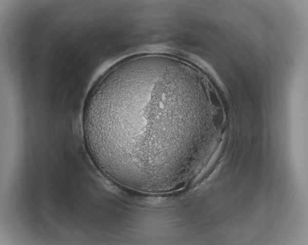 X0000110701176200906191521
