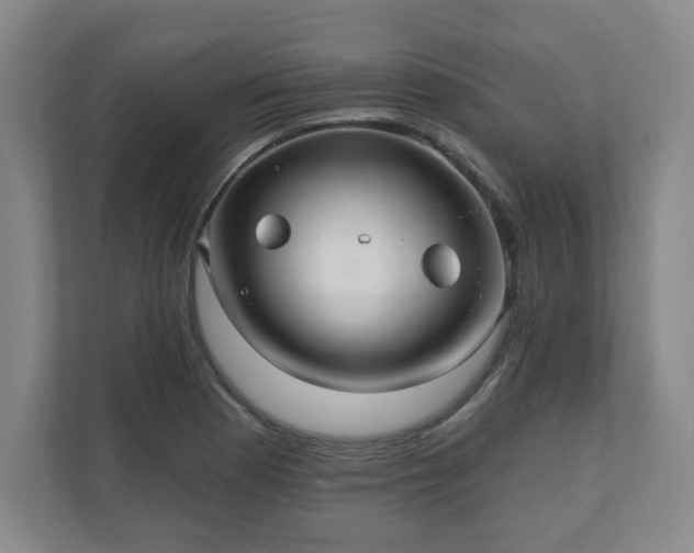 X0000110701177200906191521