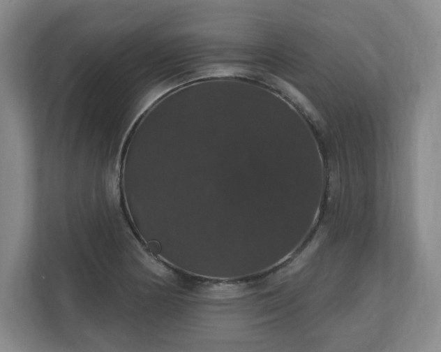 X0000110701178200906191521
