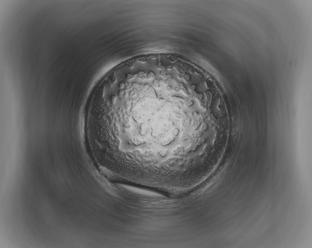 X0000110701179200906191521