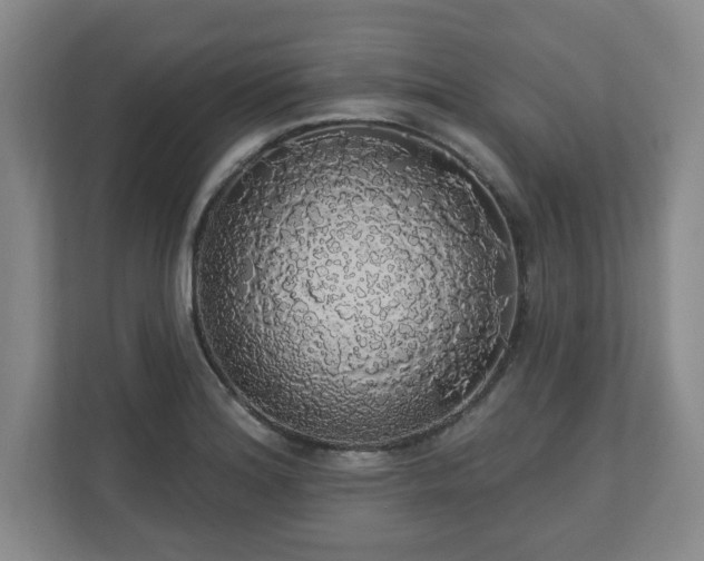 X0000110701180200906191521