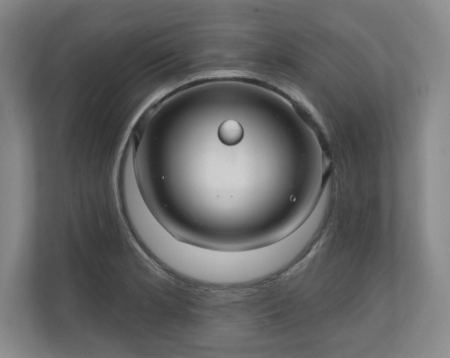 X0000110701181200906191521