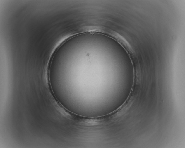 X0000110701182200906191521