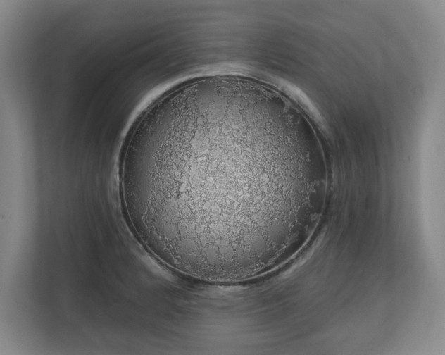 X0000110701184200906191521