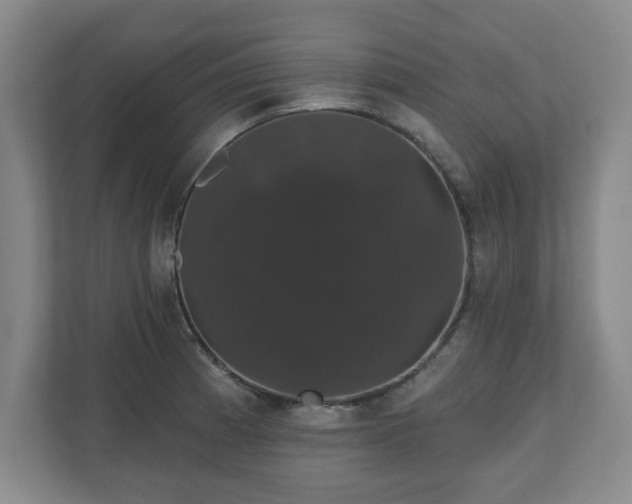 X0000110701185200906191521