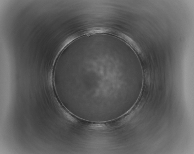 X0000110701186200906191521