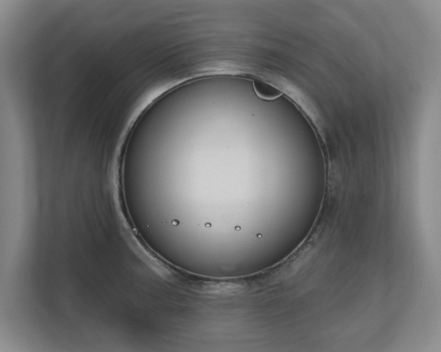 X0000110701187200906191521