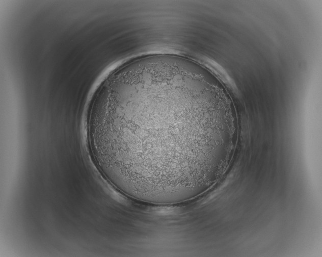 X0000110701188200906191521