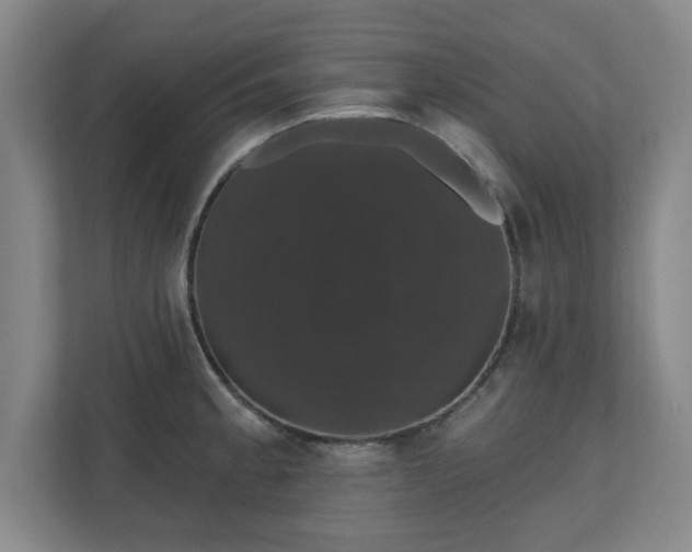 X0000110701189200906191521