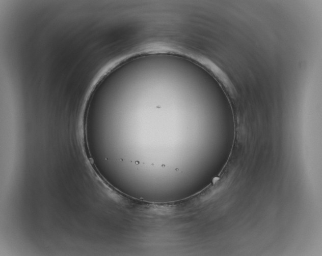 X0000110701191200906191521