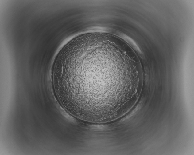 X0000110701192200906191521