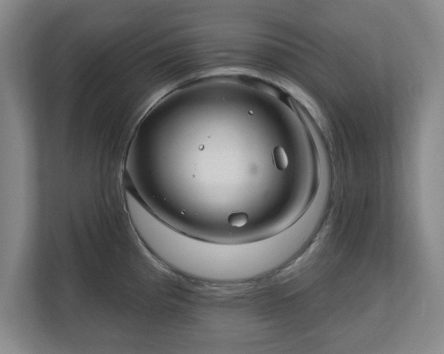 X0000110701193200906191521