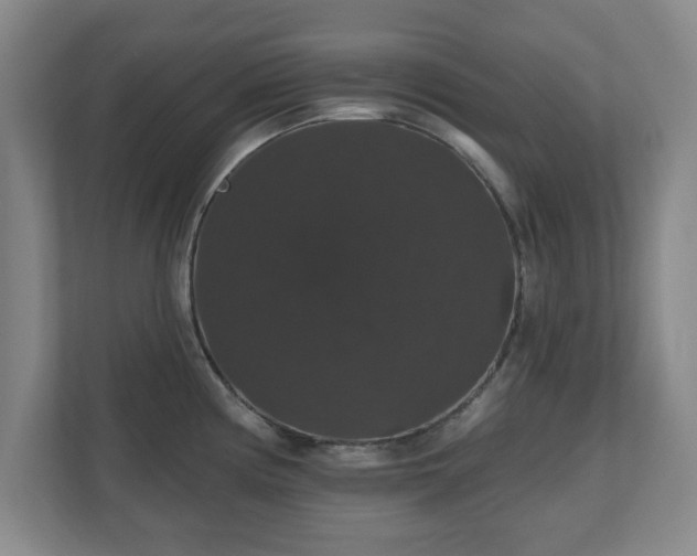 X0000110701194200906191521