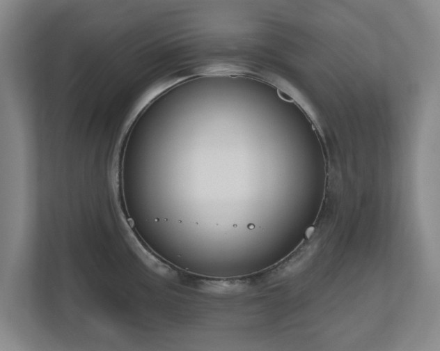 X0000110701195200906191521
