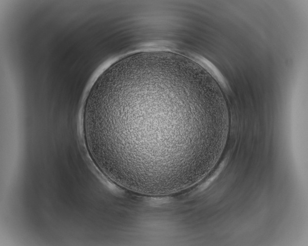 X0000110701196200906191521