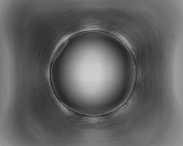 X0000110701197200906191521