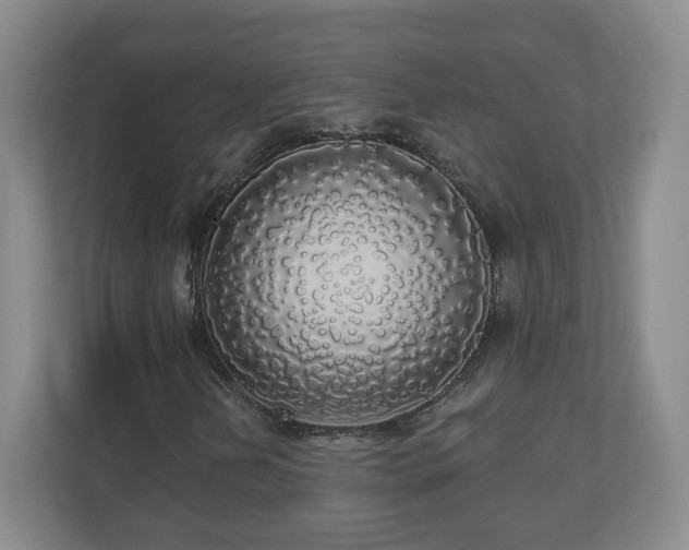 X0000110701202200906191520