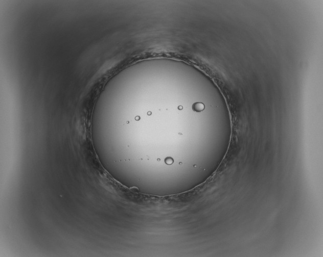 X0000110701207200906191520