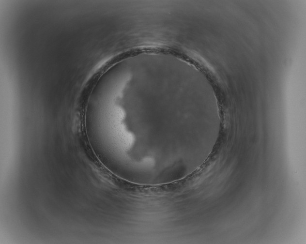 X0000110701208200906191520