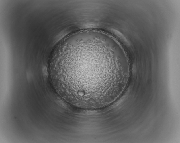 X0000110701209200906191520