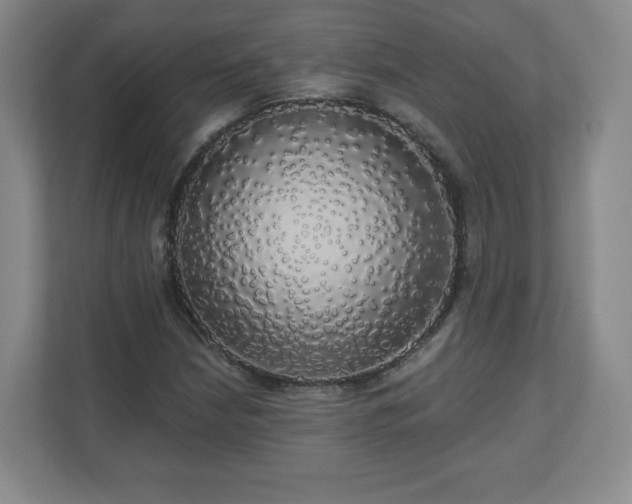 X0000110701210200906191520