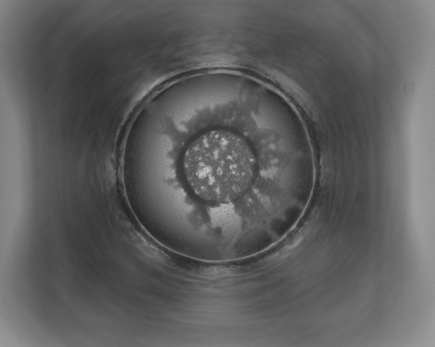X0000110701212200906191520