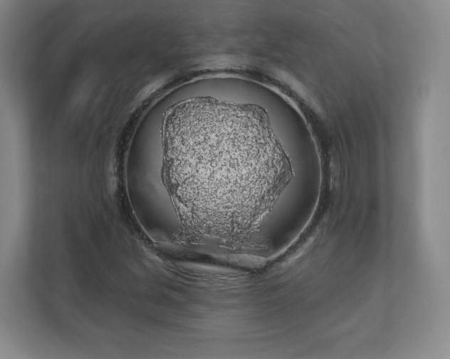 X0000110701213200906191520