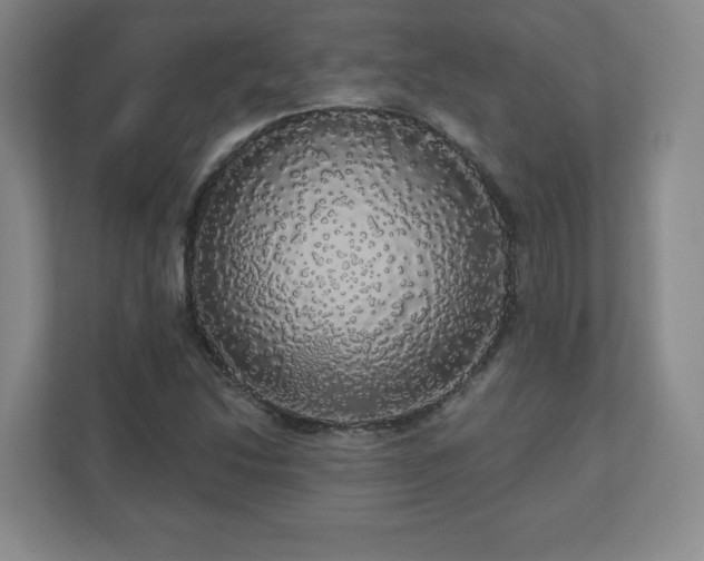 X0000110701214200906191521