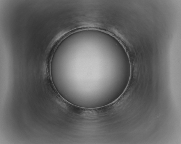 X0000110701215200906191521