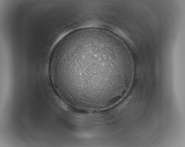 X0000110701216200906191521