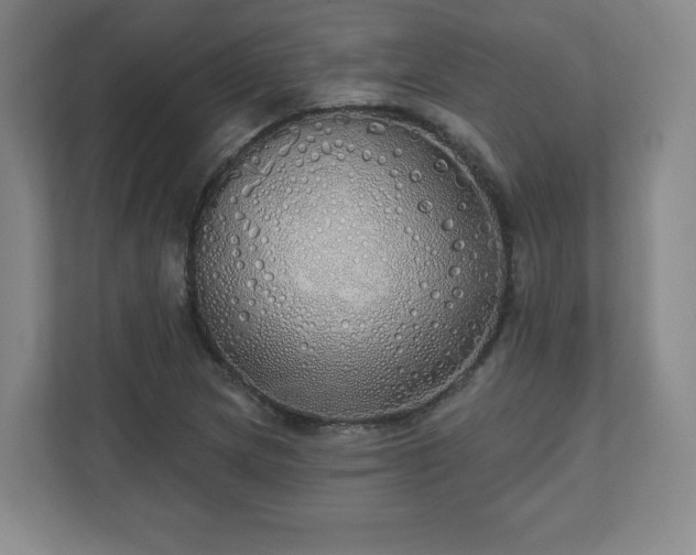 X0000110701217200906191521